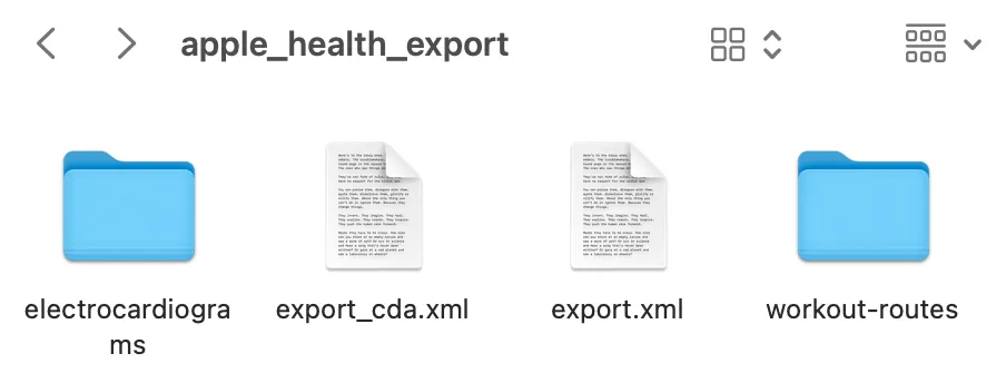 Health Export Folder