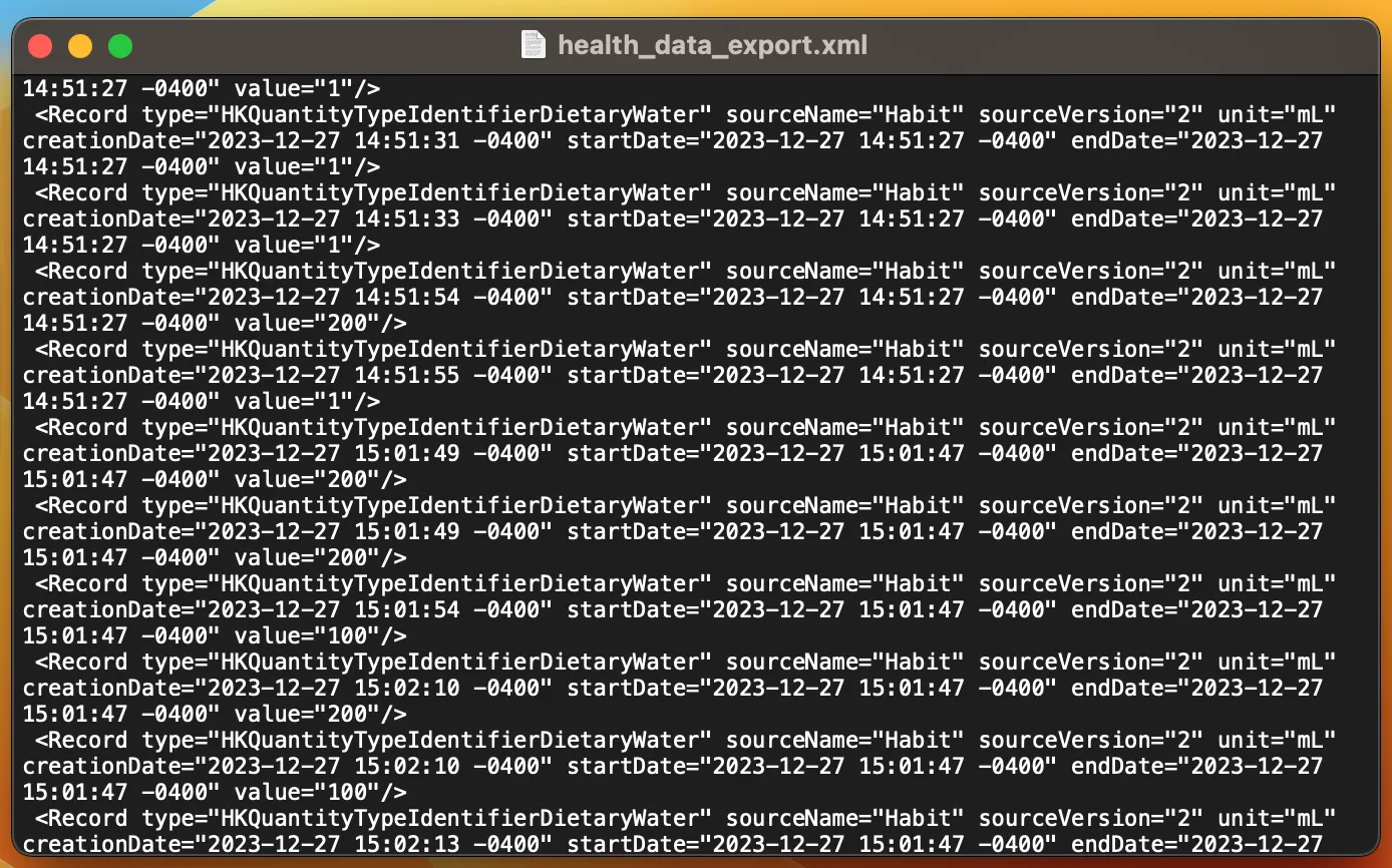 Export XML preview